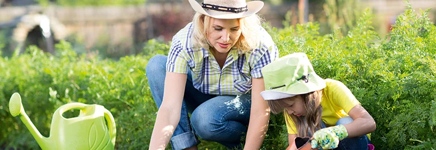 Personen gießen Pflanzen im Garten